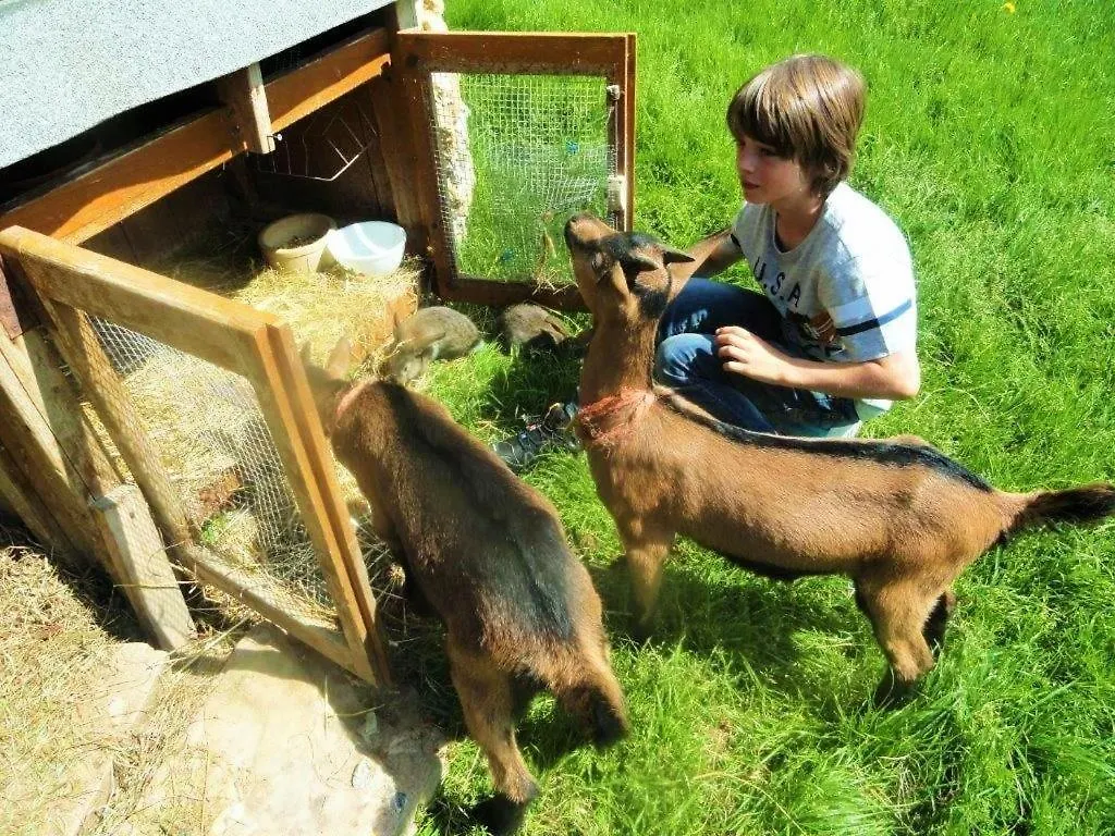 Farm stay Ferienhof Almfrieden Balderschwang