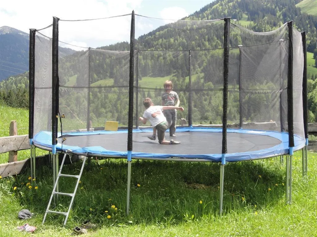 Ferienhof Almfrieden Balderschwang 0*,