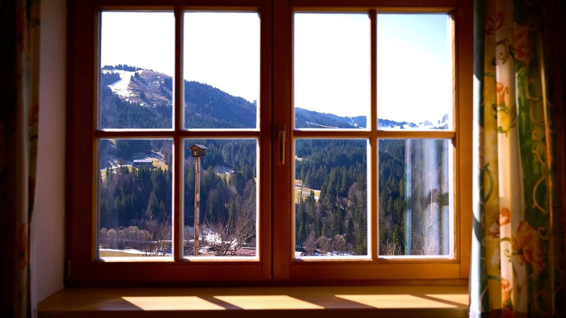 Farm stay Ferienhof Almfrieden Balderschwang